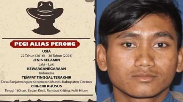 Pelaku Pembunuh Vina Ditangkap Polisi