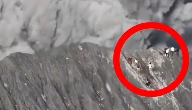 Gunung Dukono Meletus Pendaki Berjuang Lari dari Maut