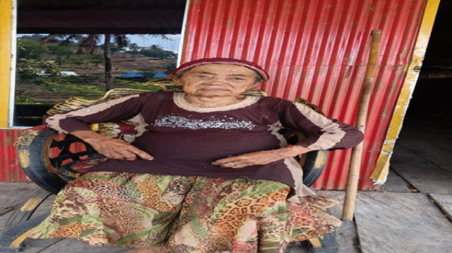 Jagung Dirusak, Nenek 95 Tahun di Gowa Tak Putus Asa Cari Keadilan