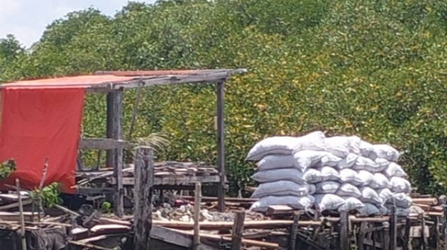 Hutan Bakau Dihancurkan, Pesisir Takalar Dipaksa Menunggu Bencana