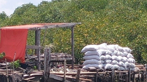 Hutan Bakau Dihancurkan, Pesisir Takalar Dipaksa Menunggu Bencana