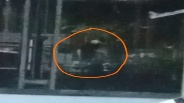 Malam Hari Angkut Pertalite Ribuan Liter, Siapa Lindungi Praktik di SPBU Jatia?