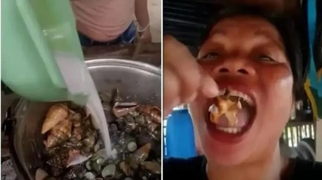 Konten Berujung Duka, Influencer Kuliner Filipina Tewas Setelah Makan Kepiting Setan